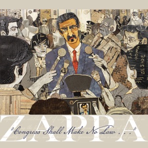 Cover of “Congress Shall Make No Law…”