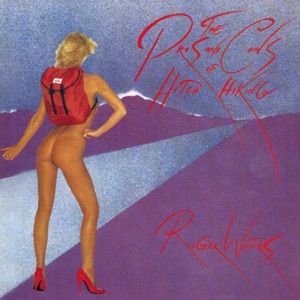 Hoes van The Pros and Cons of Hitch Hiking
