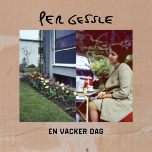Cover of En vacker dag