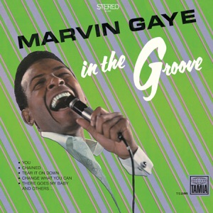 Cover of In the Groove