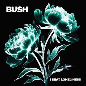 Hoes van I Beat Loneliness