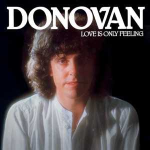 Cover of Love Is Only Feeling