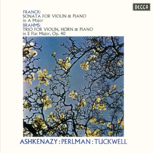 Cover of Franck: Violin Sonata / Brahms: Horn Trio