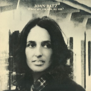Cover of Where Are You Now, My Son?