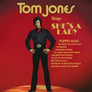 Hoes van Tom Jones Sings She’s a Lady