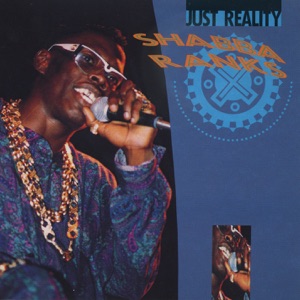 Cover of Just Reality