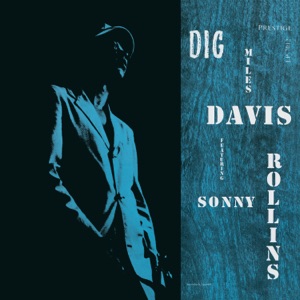 Cover of Dig