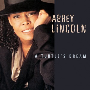 Cover of A Turtle’s Dream