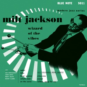 Cover of Wizard of the Vibes