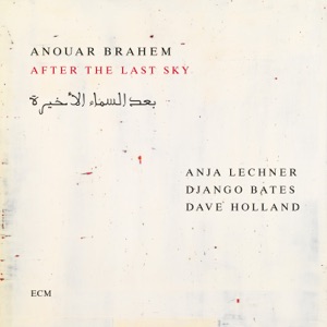 Cover of After the Last Sky