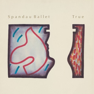 Cover of True