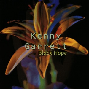 Cover of Black Hope