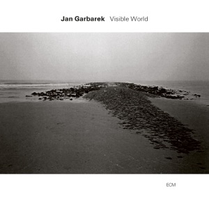 Cover of Visible World