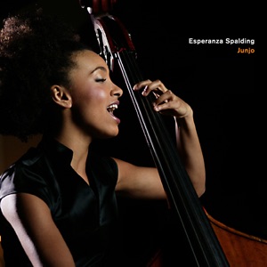 Cover of Junjo
