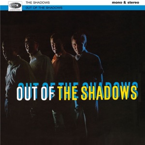 Cover of Out of the Shadows
