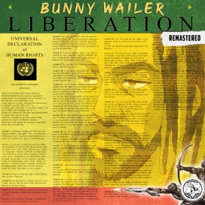 Cover of Liberation