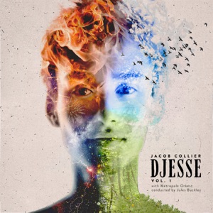 Cover of Djesse, Vol. 1