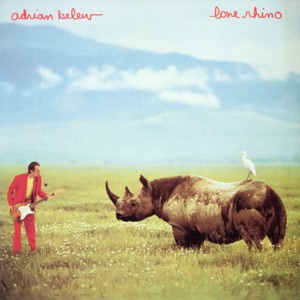 Cover of Lone Rhino