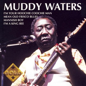 Cover of The Muddy Waters Woodstock Album