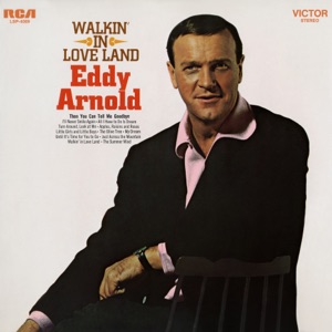 Cover of Walkin’ in Love Land