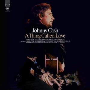 Cover of A Thing Called Love