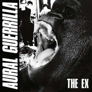 Cover of Aural Guerrilla