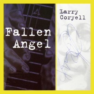 Cover of Fallen Angel