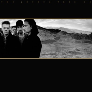 Cover of The Joshua Tree