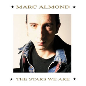 Cover of The Stars We Are