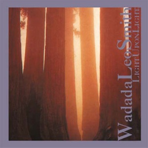 Cover of Light Upon Light