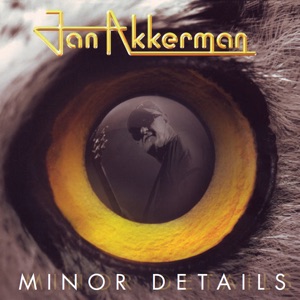 Cover of Minor Details