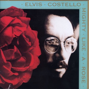 Cover of Mighty Like a Rose