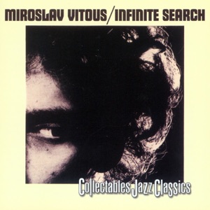 Cover of Infinite Search