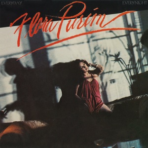 Cover of Everyday Everynight