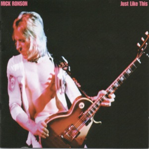 Cover of Just Like This