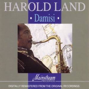 Cover of Damisi