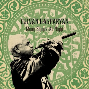 Cover of Moon Shines at Night