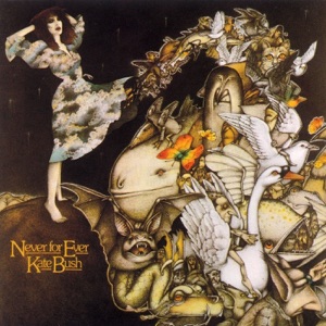 Cover of Never for Ever