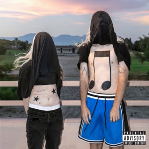 Cover of 10,000 gecs