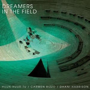 Cover of Dreamers In The Field