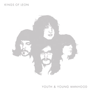 Cover of Youth & Young Manhood