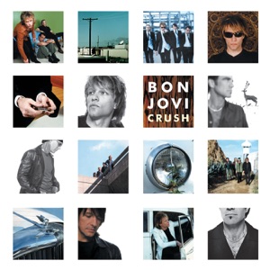 Cover of Crush