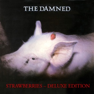 Cover of Strawberries