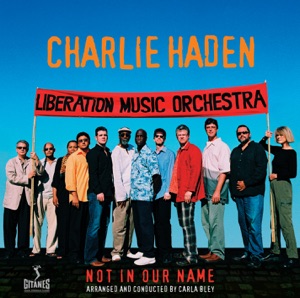 Cover of Not in Our Name