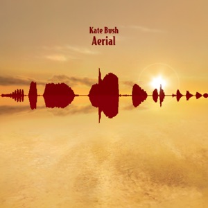 Hoes van Aerial