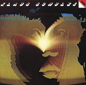 Cover of Dig It