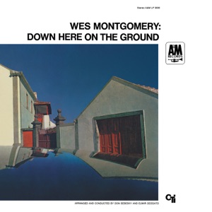 Cover of Down Here on the Ground