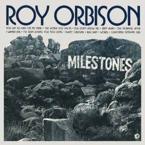 Cover of Milestones