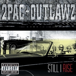 Cover of Still I Rise