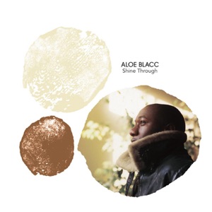 Cover of Shine Through